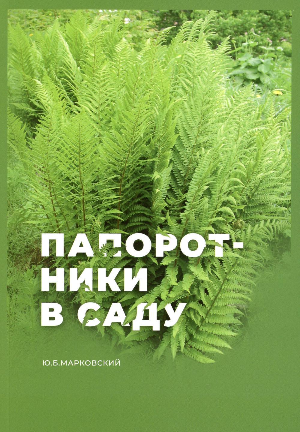 Папоротники в саду