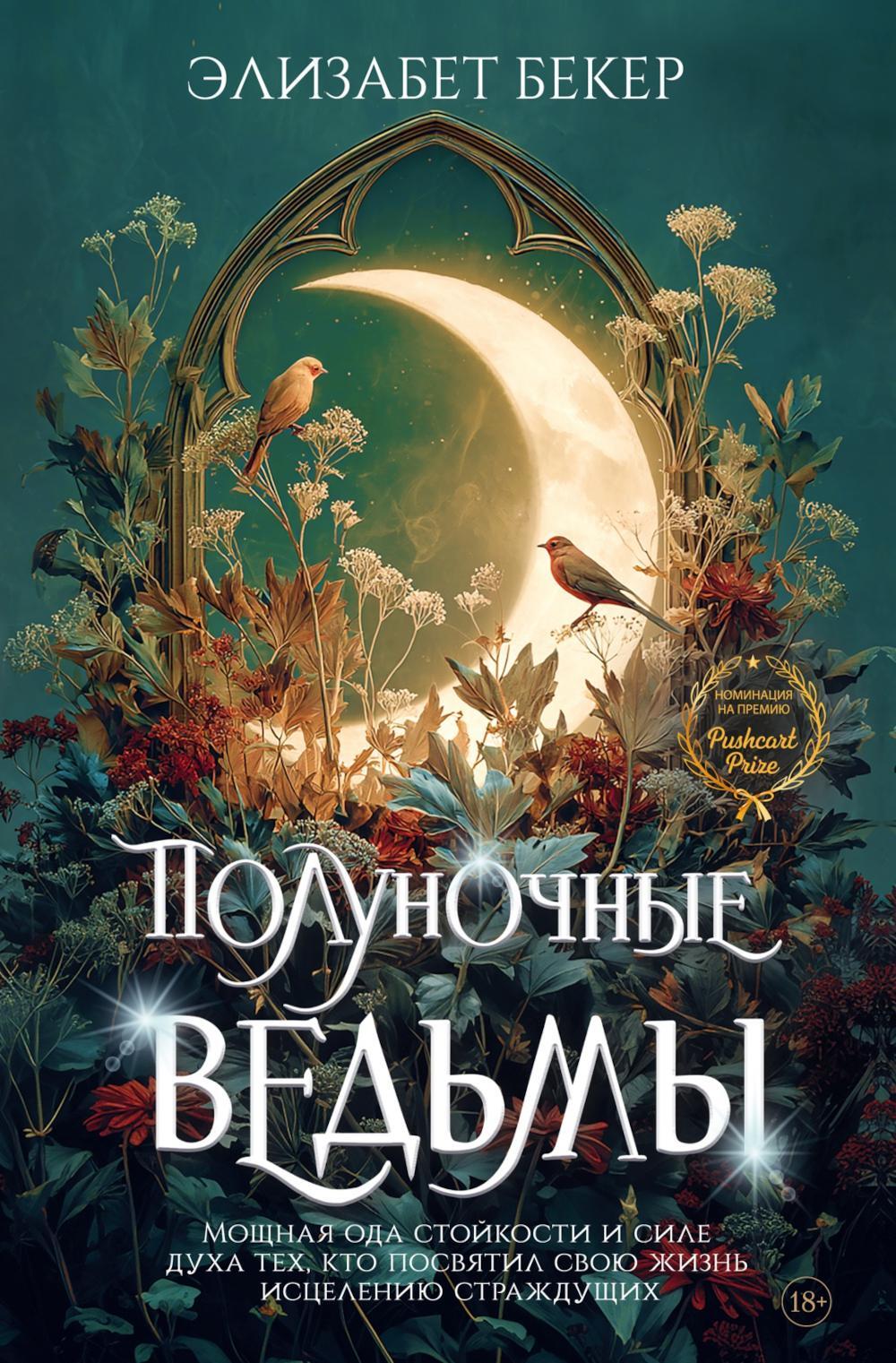 Полуночные ведьмы: роман