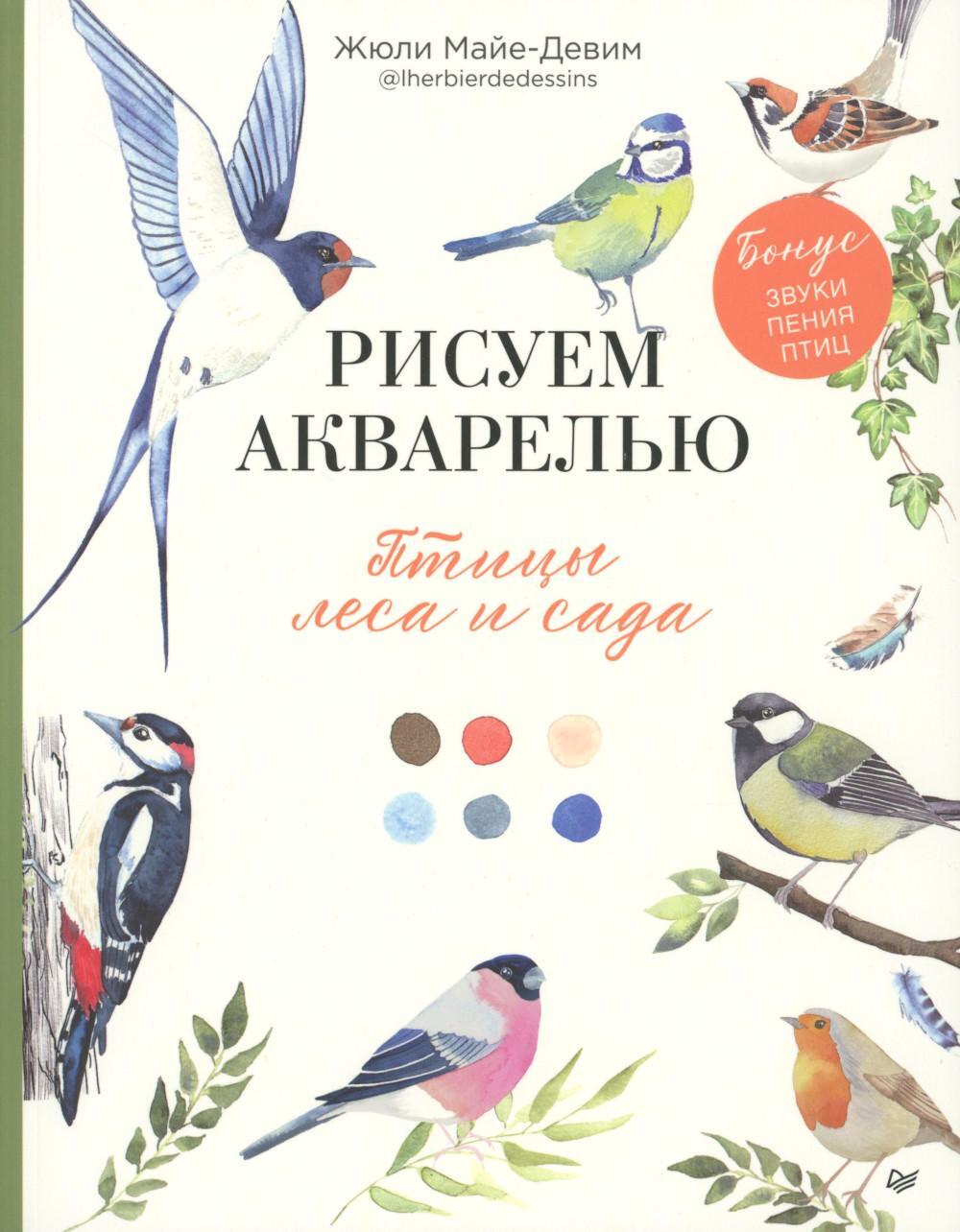 Рисуем акварелью: птицы леса и сада