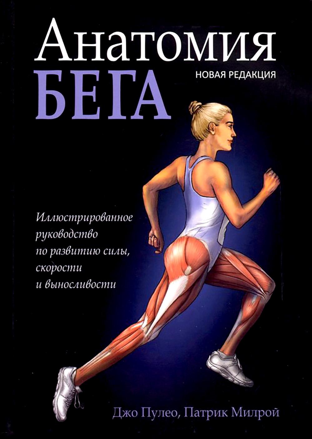 Анатомия бега