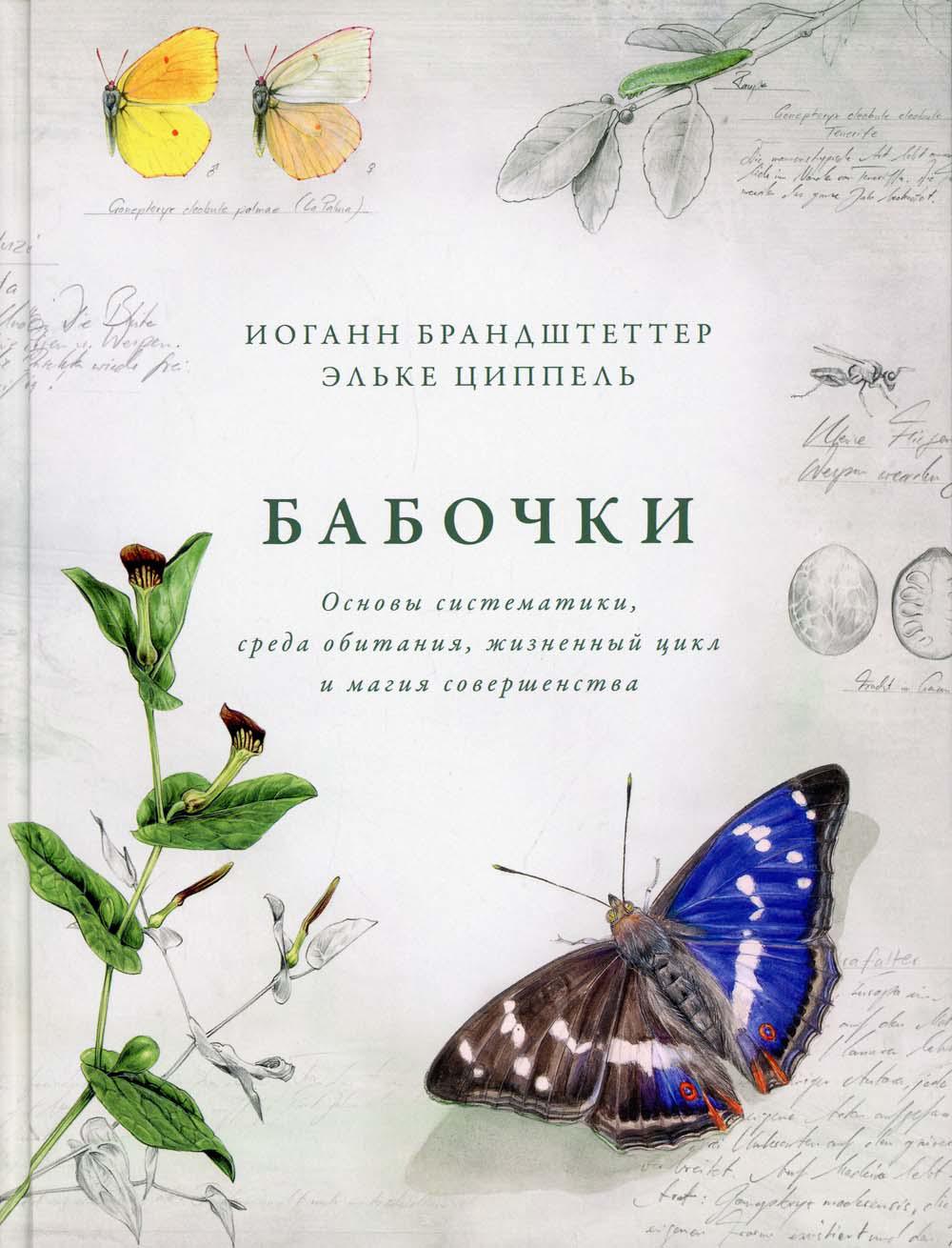Бабочки: Основы систематики, среда обитания, жизненный цикл и магия совершенства