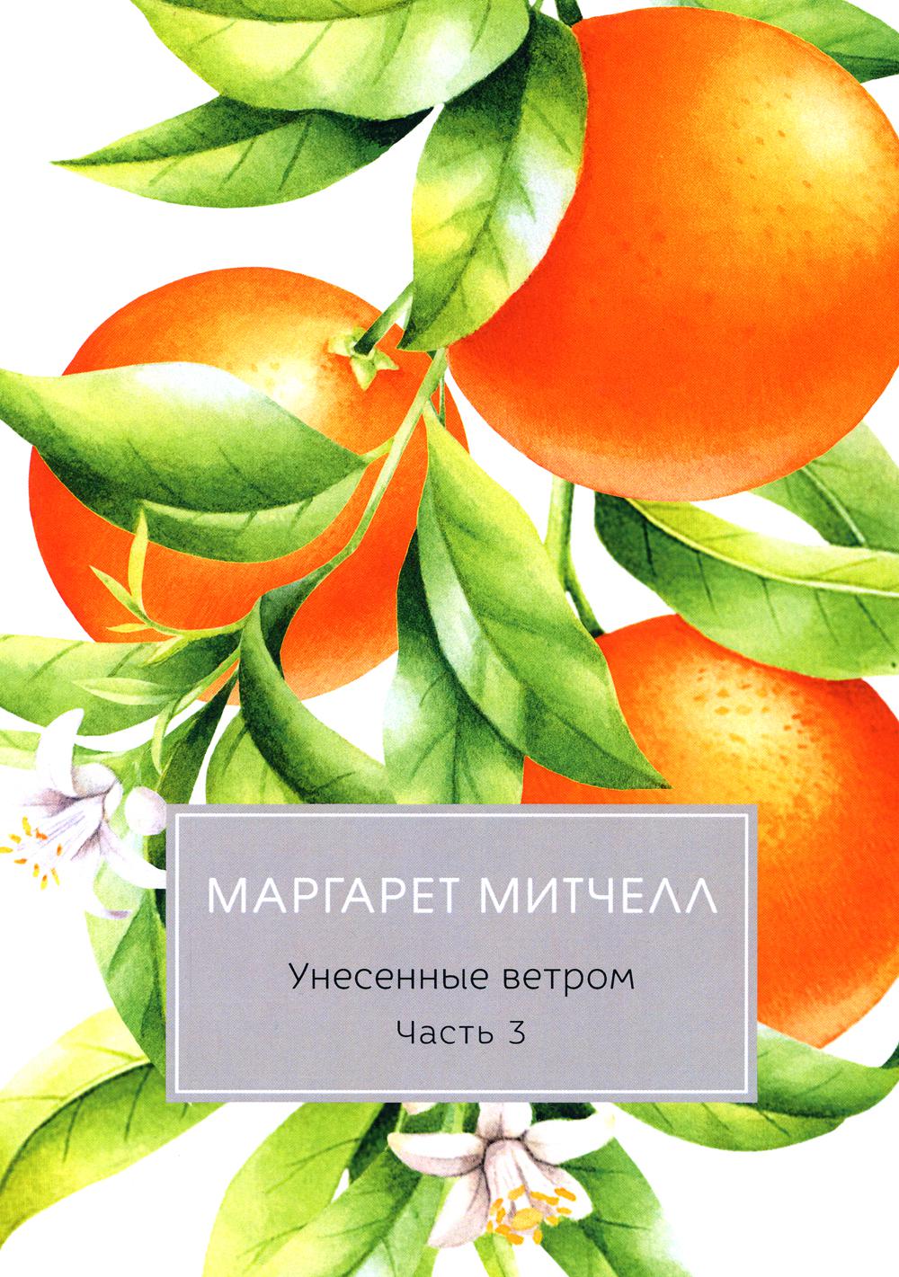 Унесенные ветром. Часть 3