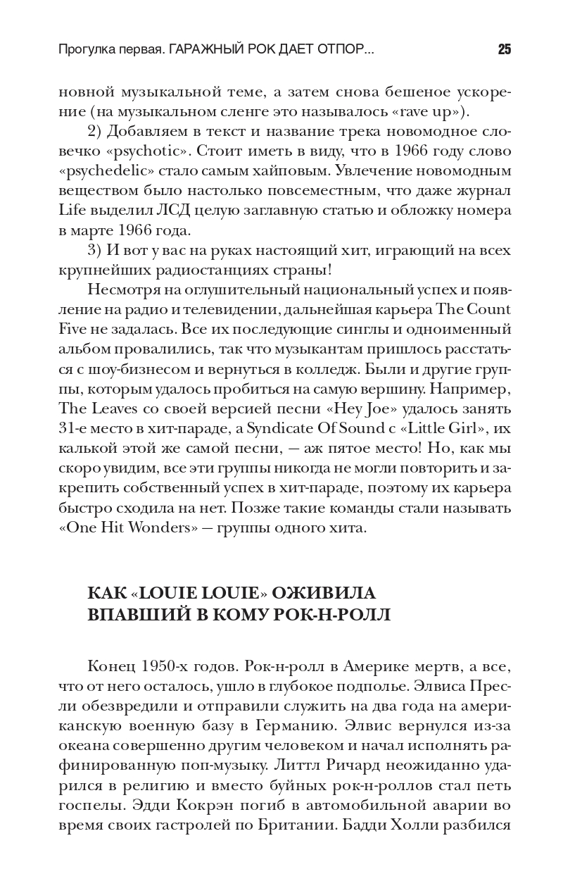 Панк-рок. Предыстория. Прогулки по дикой стороне: от гаражного рока до Игги Попа