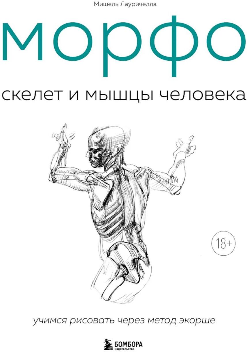 МОРФО. Скелет и мышцы человека: анатомия для художников