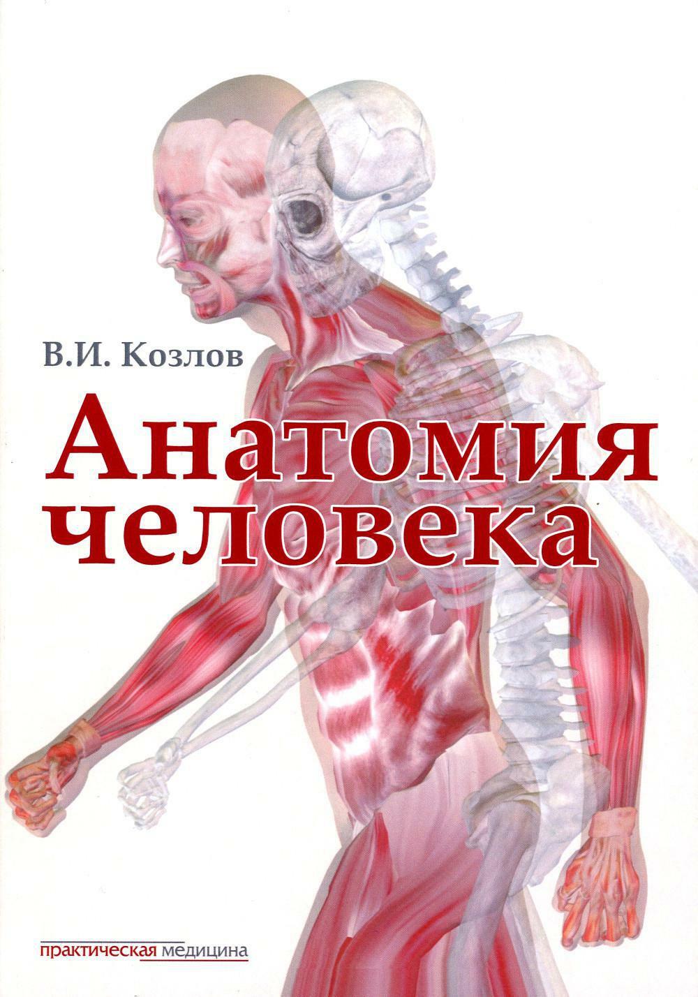 Анатомия человека: Учебник для медицинских вузов. 2-е изд., испр. и доп