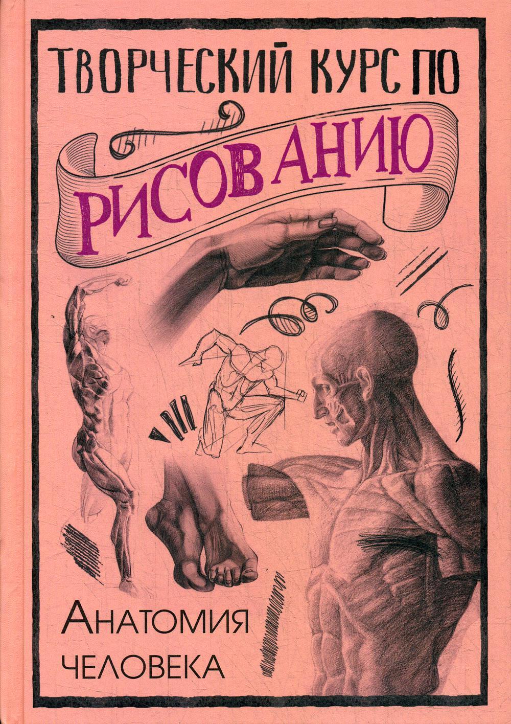 Творческий курс по рисованию. Анатомия человека