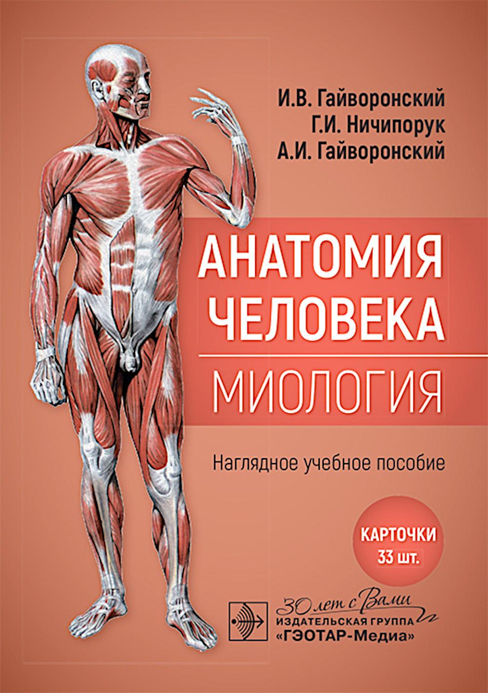 Анатомия человека. Миология. Карточки : наглядное учебное пособие