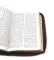 Библия. Книги Священного Писания Ветхого и Нового Завета (рециклированная кожа коричневая, молния, золот.обрез)
