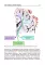 Topical diagnosis of diseases of the nervous system = Топическая диагностика заболеваний нервной системы: Учебник на англ. и русск.яз