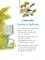 Убаюкивающие сказки. Слог за слогом