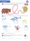 Я учусь читать. Рабочая тетрадь для детей 6-7 лет. 2-е изд., испр