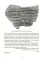 Молодая гвардия. История подвига