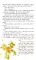 The Little Prince