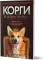 Корги по имени Генри