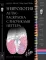 Неврология. Атлас с иллюстрациями Неттера; Атлас-раскраска с рисунками Неттера (комплект из 2-х книг)