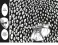 One-Punch Man 12. Кн. 23-24: Оригинал и подделка; Жертва: манга