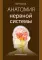Анатомия нервной системы: учебное пособие