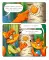 Тим заботится о природе