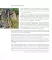 Россия самая красивая страна. Фотоконкурс 2025