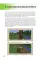 Как выжить в MINECRAFT. Полный гайд по режиму выживания от EugenBro (эксклюзивное издание с открыткой)