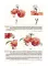 Рисуем персонажей маньхуа акварелью