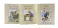The World of Peter Rabbit (Complete Collection 23 books)