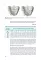 Orthodontics. Modern Methods of Diagnosing Dental Abnormalities, Dentition and Occlusion: tutorial: на англ.яз