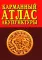 Карманный атлас акупунктуры. 4-е изд