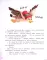 Как Мишутка Новый год искал
